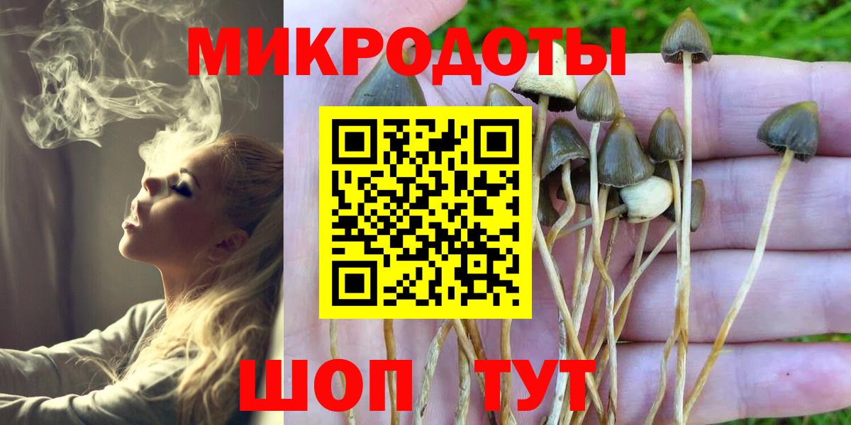 Сердобск  Псилоцибиновые грибы Psilocybine cubensis  хочу наркоту  Вход с VPN  Псилоцибиновые грибы Magic Shrooms 