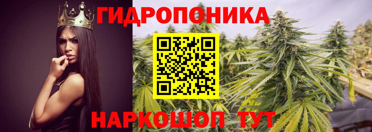 Каннабис Bruce Banner  Вход с VPN  Сердобск  Марихуана индика  Шишки марихуана OG Kush  Каннабис LSD WEED 